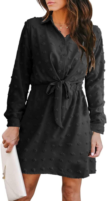 Alaster Women'S Casual Shirt Dresses Long Sleeve Fall Mini Dress Swiss Dot Blouse Work Dresses for Women Black / Xx-Large