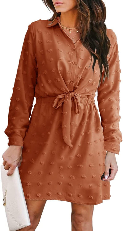 Alaster Women'S Casual Shirt Dresses Long Sleeve Fall Mini Dress Swiss Dot Blouse Work Dresses for Women Dark Orange / Small