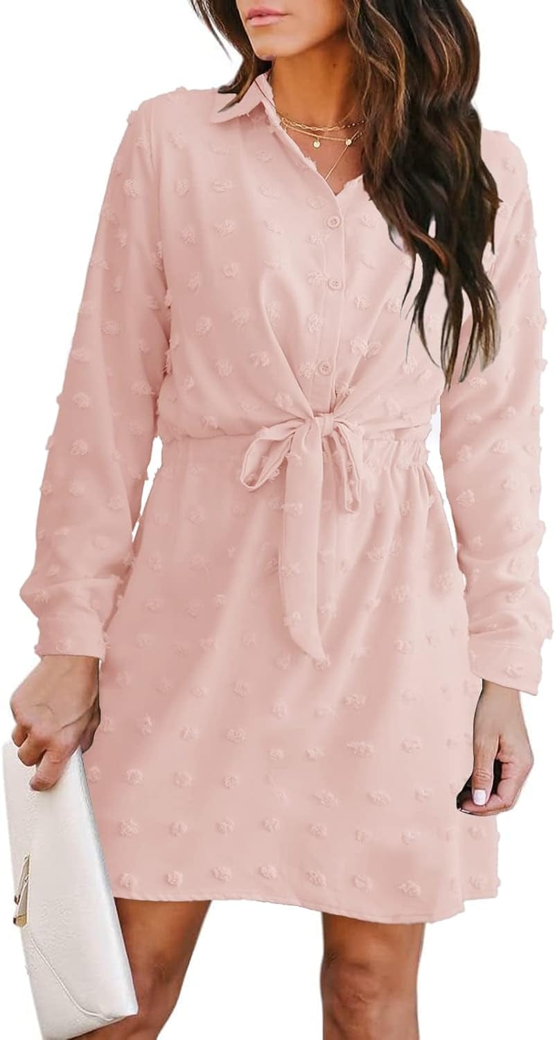 Alaster Women'S Casual Shirt Dresses Long Sleeve Fall Mini Dress Swiss Dot Blouse Work Dresses for Women Pink / Small