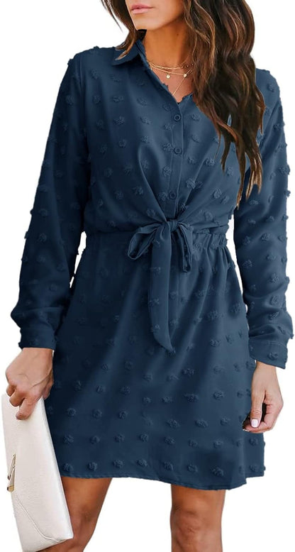 Alaster Women'S Casual Shirt Dresses Long Sleeve Fall Mini Dress Swiss Dot Blouse Work Dresses for Women Blue / Large