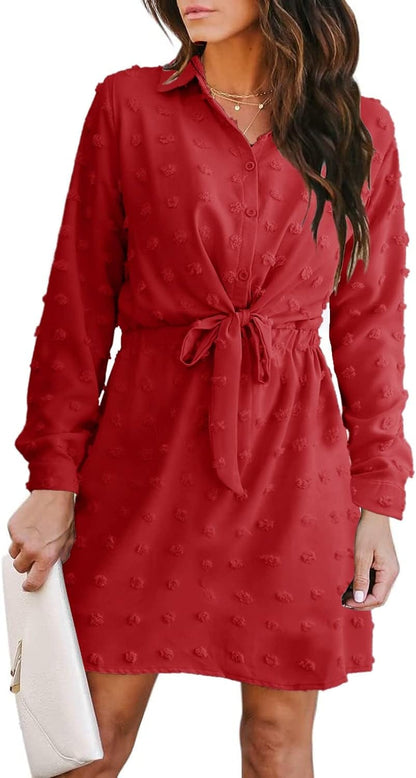 Alaster Women'S Casual Shirt Dresses Long Sleeve Fall Mini Dress Swiss Dot Blouse Work Dresses for Women Red / Small