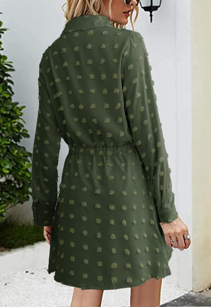 Alaster Women'S Casual Shirt Dresses Long Sleeve Fall Mini Dress Swiss Dot Blouse Work Dresses for Women