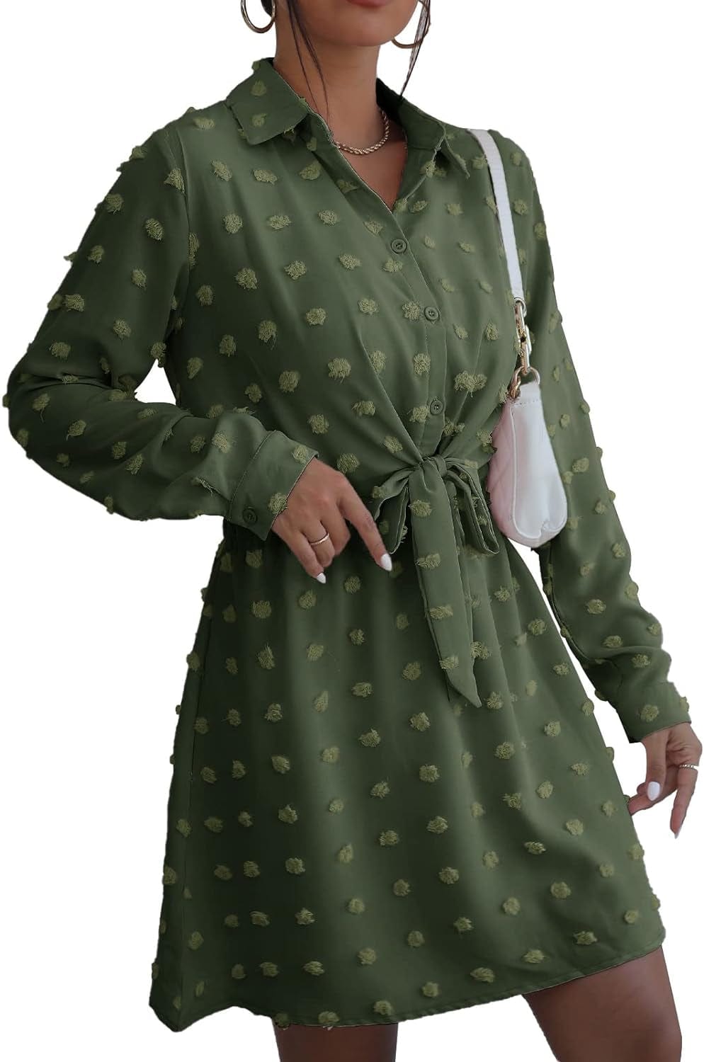 Alaster Women'S Casual Shirt Dresses Long Sleeve Fall Mini Dress Swiss Dot Blouse Work Dresses for Women
