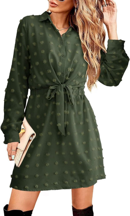 Alaster Women'S Casual Shirt Dresses Long Sleeve Fall Mini Dress Swiss Dot Blouse Work Dresses for Women