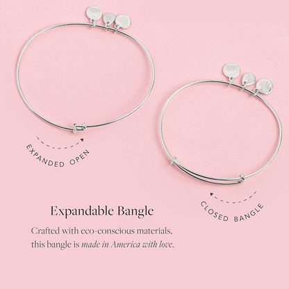 Alex and Ani Because I Love You Expandable Wire Bangle Bracelet for Women, Meaningful Charms, 2 to 3.5 in Arts & Entertainment > Party & Celebration > Gift Giving Alex and Ani   