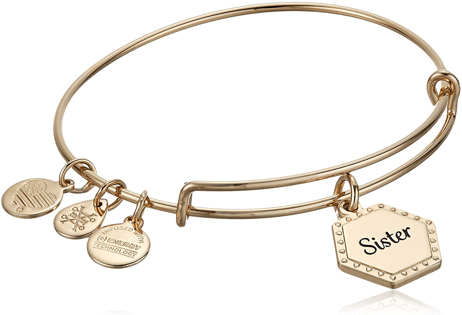 Alex and Ani Because I Love You Expandable Wire Bangle Bracelet for Women, Meaningful Charms, 2 to 3.5 in Arts & Entertainment > Party & Celebration > Gift Giving Alex and Ani Shiny Antique Gold Finish Sister 