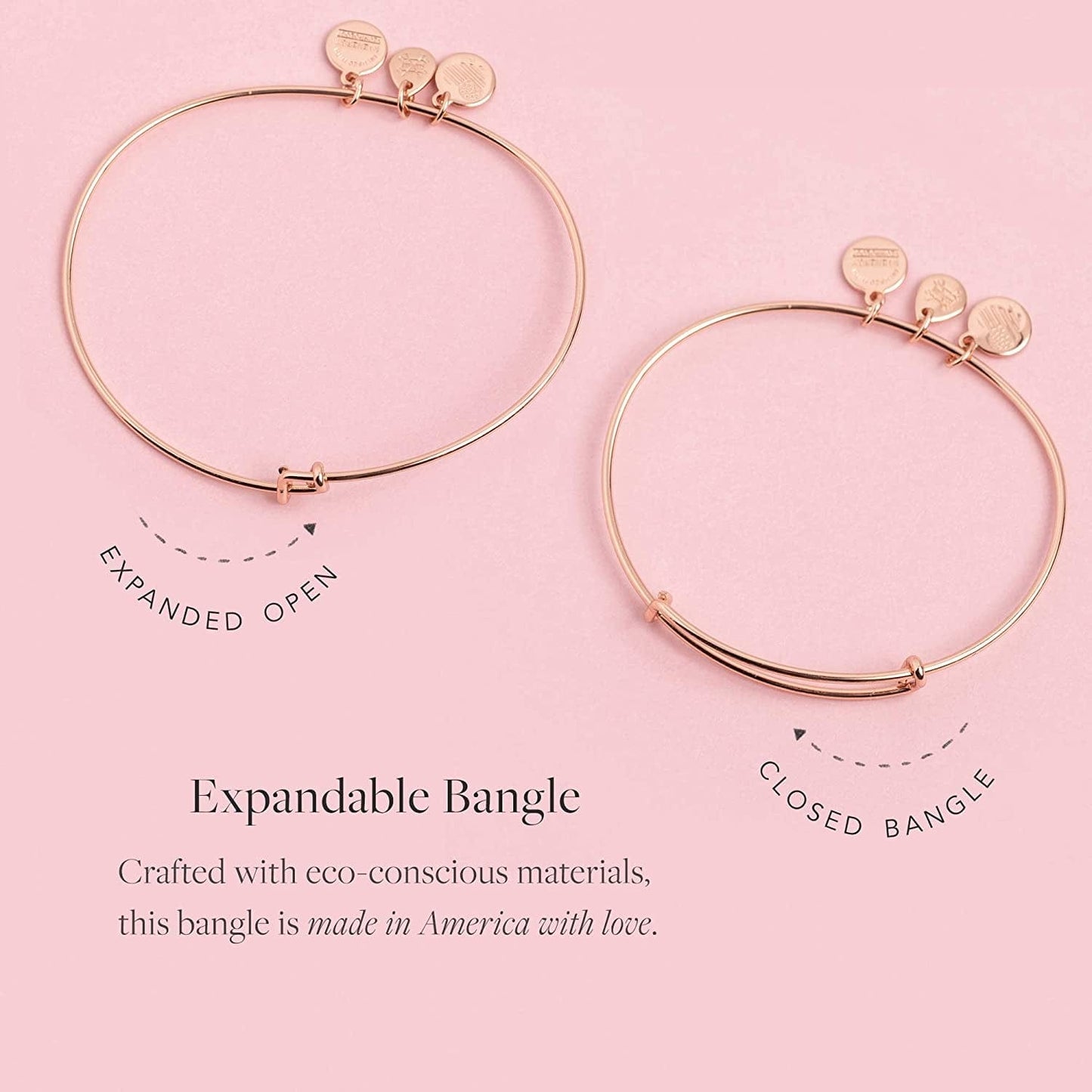 Alex and Ani Because I Love You Expandable Wire Bangle Bracelet for Women, Meaningful Charms, 2 to 3.5 In Apparel & Accessories > Jewelry > Bracelets Alex and Ani   