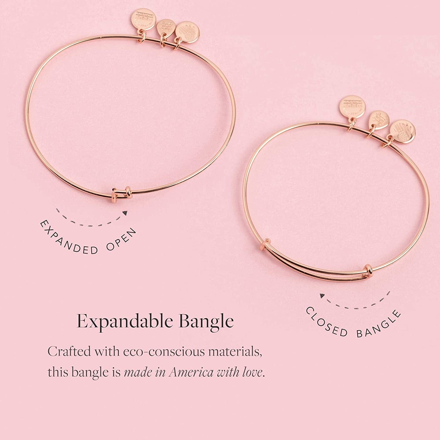 Alex and Ani Because I Love You Expandable Wire Bangle Bracelet for Women, Meaningful Charms, 2 to 3.5 In Apparel & Accessories > Jewelry > Bracelets Alex and Ani   