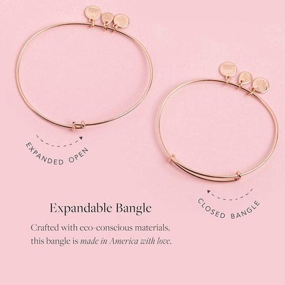 Alex and Ani Because I Love You Expandable Wire Bangle Bracelet for Women, Meaningful Charms, 2 to 3.5 In Apparel & Accessories > Jewelry > Bracelets Alex and Ani   