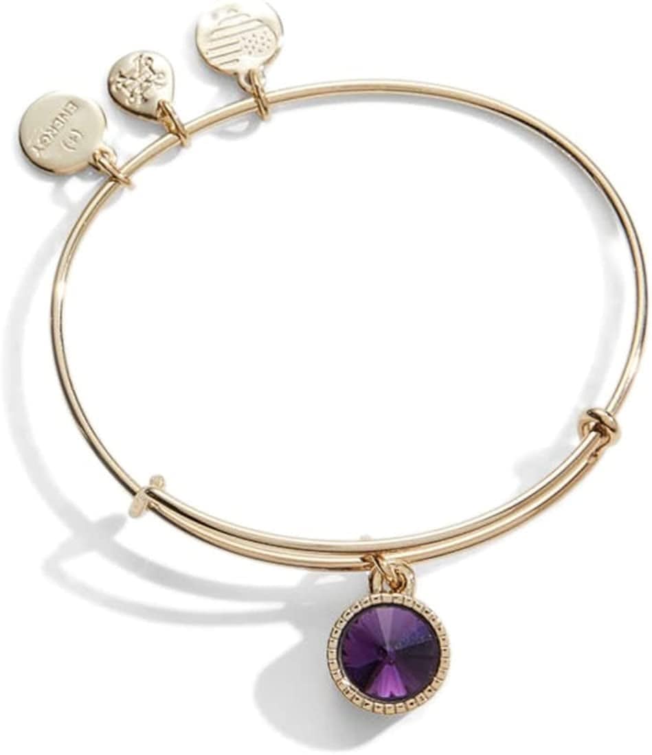 Alex and Ani Birthstones Expandable Bangle for Women, Birthday Crystal Charms, Shiny Finish, 2 to 3.5 In Apparel & Accessories > Jewelry > Bracelets Alex and Ani Shiny Gold Finish February Amethyst Crystal 