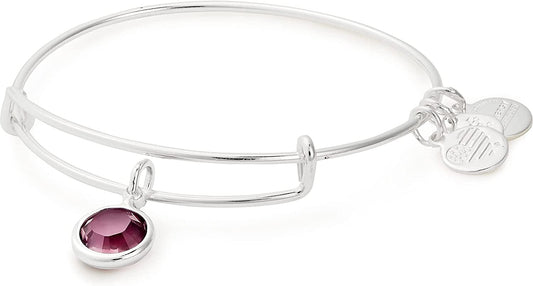 Alex and Ani Birthstones Expandable Bangle for Women, Crystal Charm for Every Month, Shiny Finish, 2 to 3.5 In Apparel & Accessories > Jewelry > Bracelets Alex and Ani   