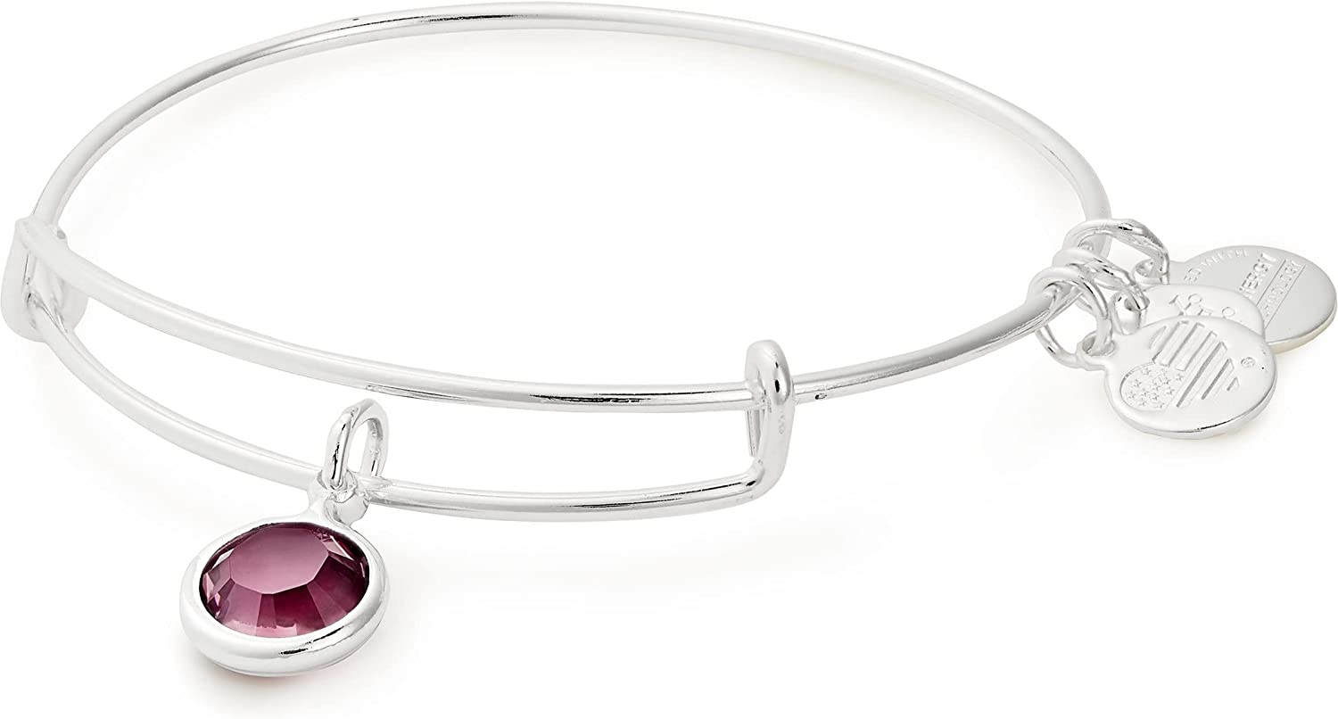Alex and Ani Birthstones Expandable Bangle for Women, Crystal Charm for Every Month, Shiny Finish, 2 to 3.5 In Apparel & Accessories > Jewelry > Bracelets Alex and Ani Shiny Silver Finish Amethyst Crystal 