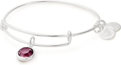 Alex and Ani Birthstones Expandable Bangle for Women, Crystal Charm for Every Month, Shiny Finish, 2 to 3.5 In Apparel & Accessories > Jewelry > Bracelets Alex and Ani Shiny Silver Finish Amethyst Crystal 