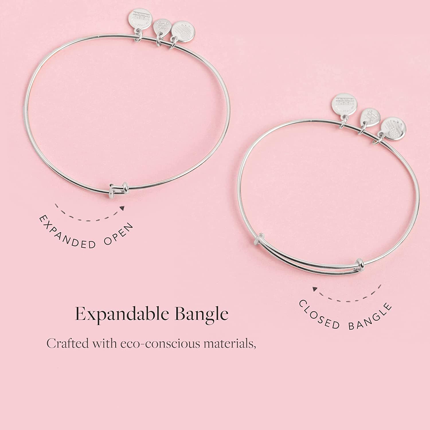 Alex and Ani Birthstones Expandable Bangle for Women, Crystal Charm for Every Month, Shiny Finish, 2 to 3.5 In Apparel & Accessories > Jewelry > Bracelets Alex and Ani   