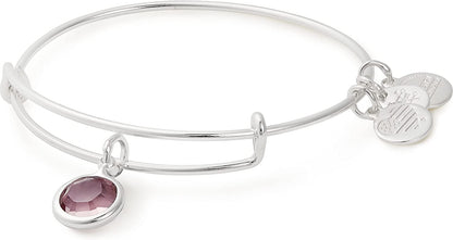 Alex and Ani Birthstones Expandable Bangle for Women, Crystal Charm for Every Month, Shiny Finish, 2 to 3.5 In Apparel & Accessories > Jewelry > Bracelets Alex and Ani Shiny Silver Finish Light Amethyst Crystal 