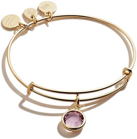 Alex and Ani Birthstones Expandable Bangle for Women, Crystal Charm for Every Month, Shiny Finish, 2 to 3.5 In Apparel & Accessories > Jewelry > Bracelets Alex and Ani Shiny Gold Finish Light Amethyst Crystal 
