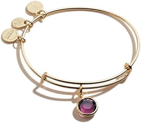 Alex and Ani Birthstones Expandable Bangle for Women, Crystal Charm for Every Month, Shiny Finish, 2 to 3.5 In Apparel & Accessories > Jewelry > Bracelets Alex and Ani Shiny Gold Finish Amethyst Crystal 