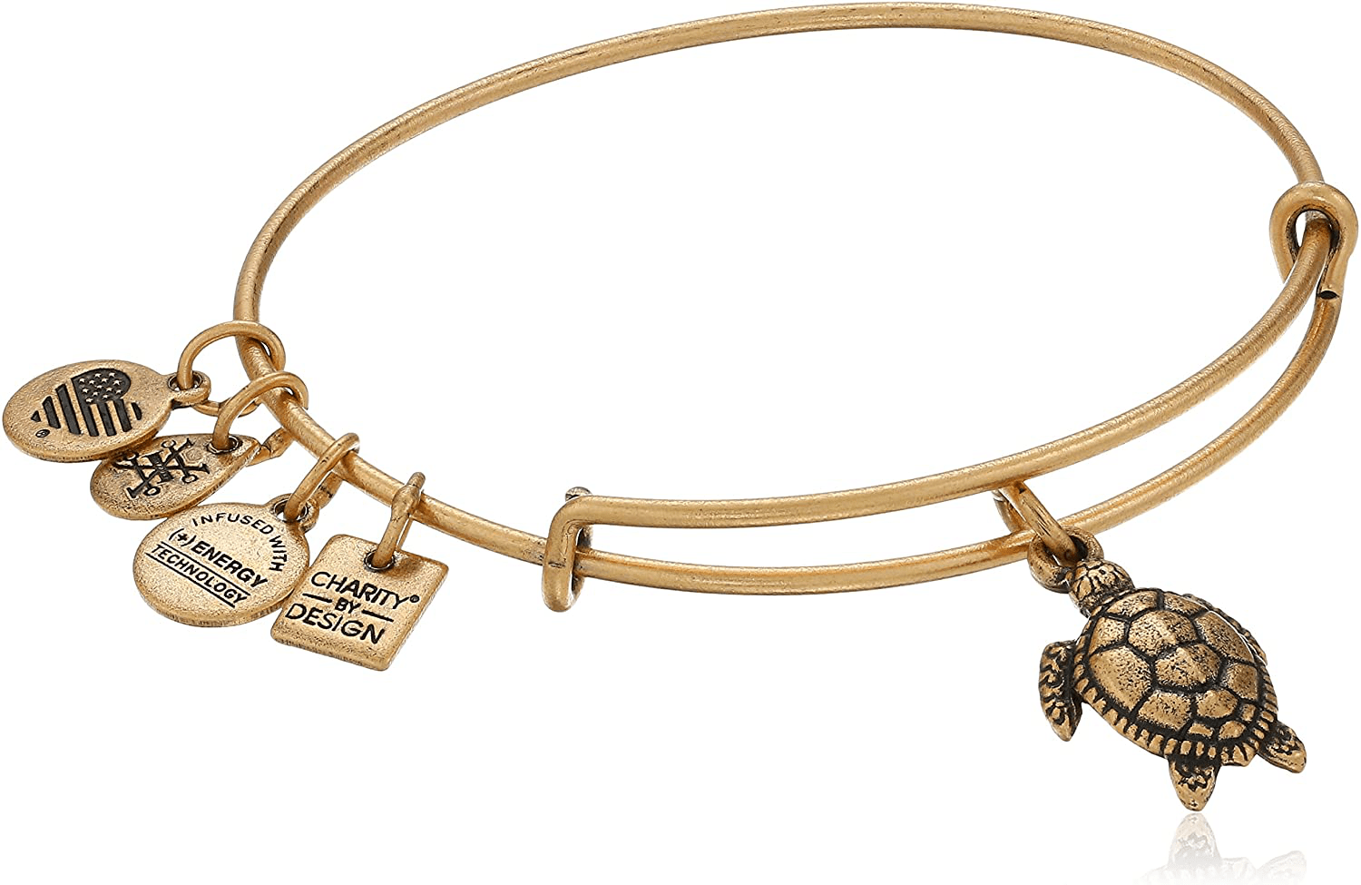 Alex and Ani Charity By Design Turtle Rafaelian Bangle Bracelet Arts & Entertainment > Party & Celebration > Gift Giving Alex and Ani Rafaelian Gold  