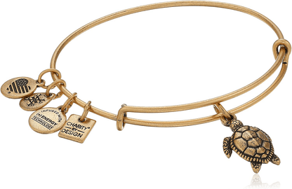 Alex and Ani Charity By Design Turtle Rafaelian Bangle Bracelet Arts & Entertainment > Party & Celebration > Gift Giving Alex and Ani Rafaelian Gold  