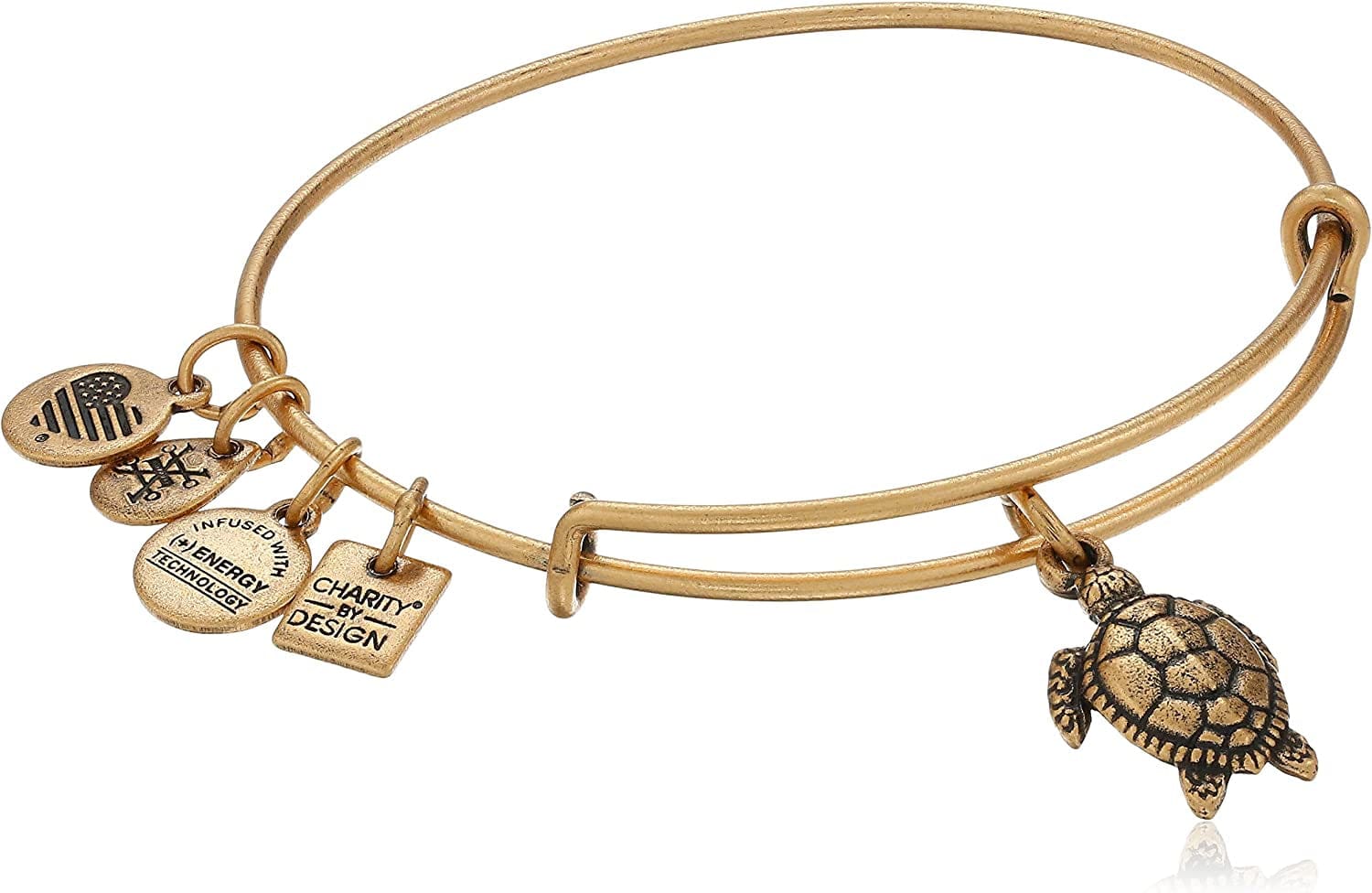 Alex and Ani Charity by Design Turtle Rafaelian Bangle Bracelet Apparel & Accessories > Jewelry > Bracelets Alex and Ani Rafaelian Gold  