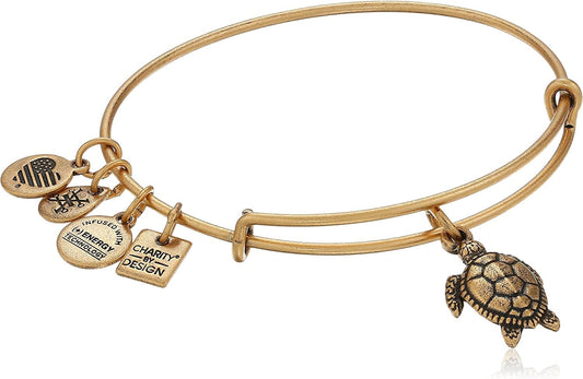 Alex and Ani Charity by Design Turtle Rafaelian Bangle Bracelet Apparel & Accessories > Jewelry > Bracelets Alex and Ani Rafaelian Gold  