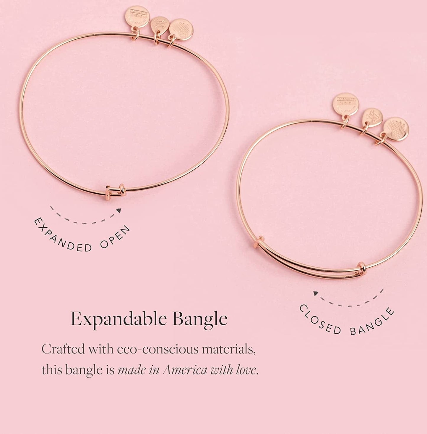 Alex and Ani Charity by Design Turtle Rafaelian Bangle Bracelet Apparel & Accessories > Jewelry > Bracelets Alex and Ani   