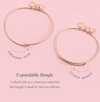 Alex and Ani Charity by Design Turtle Rafaelian Bangle Bracelet Apparel & Accessories > Jewelry > Bracelets Alex and Ani   