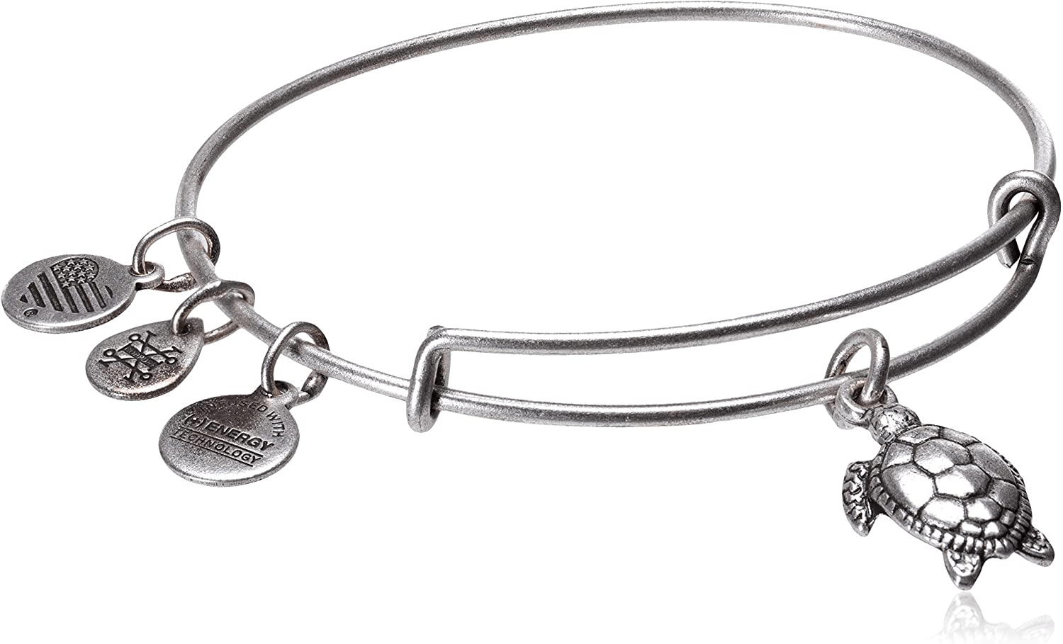 Alex and Ani Charity By Design Turtle Rafaelian Bangle Bracelet Arts & Entertainment > Party & Celebration > Gift Giving Alex and Ani Rafaelian Silver  