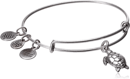 Alex and Ani Charity By Design Turtle Rafaelian Bangle Bracelet Arts & Entertainment > Party & Celebration > Gift Giving Alex and Ani Rafaelian Silver  