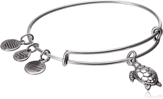 Alex and Ani Charity By Design Turtle Rafaelian Bangle Bracelet Arts & Entertainment > Party & Celebration > Gift Giving Alex and Ani Rafaelian Silver  
