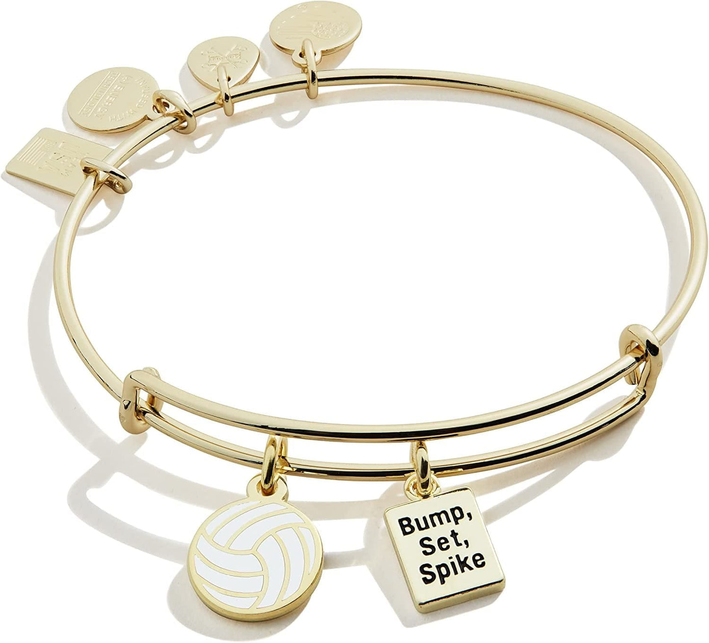 Alex and Ani Collaborations Expandable Bangle for Women, Team USA Duo Charms, Shiny Finish, 2 to 3.5 In Apparel & Accessories > Jewelry > Bracelets Alex and Ani Shiny Gold Finish Volleyball 