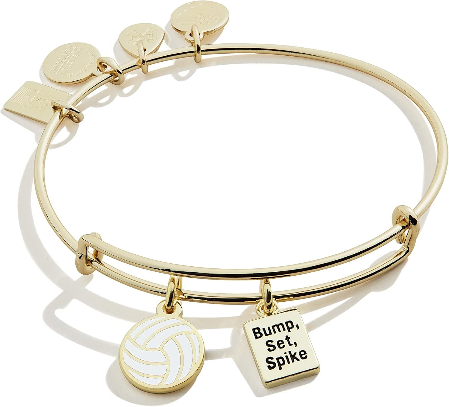 Alex and Ani Collaborations Expandable Bangle for Women, Team USA Duo Charms, Shiny Finish, 2 to 3.5 In Apparel & Accessories > Jewelry > Bracelets Alex and Ani Shiny Gold Finish Volleyball 