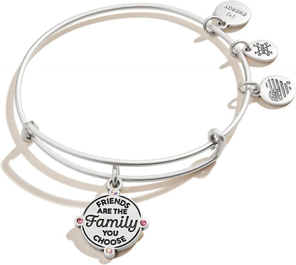 Alex and Ani Connections Expandable Bangle for Women, Friends Are the Family You Choose Charm, Rafaelian Finish, 2 to 3.5 In Apparel & Accessories > Jewelry > Bracelets Alex and Ani Rafaelian Silver Finish  