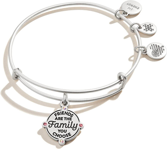 Alex and Ani Connections Expandable Bangle for Women, Friends Are the Family You Choose Charm, Rafaelian Finish, 2 to 3.5 In Apparel & Accessories > Jewelry > Bracelets Alex and Ani Rafaelian Silver Finish  