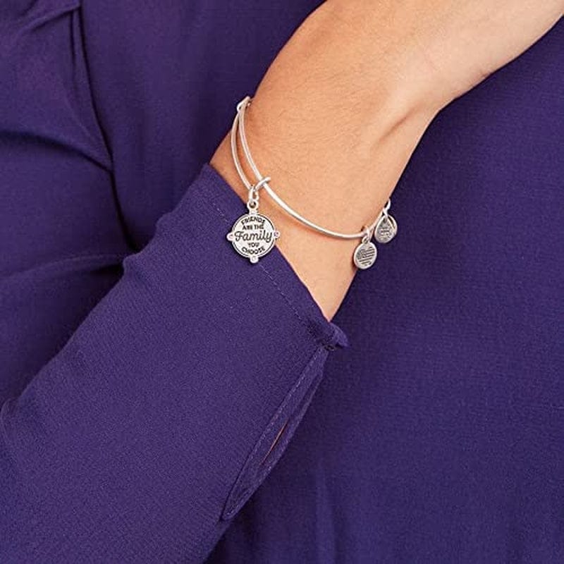 Alex and Ani Connections Expandable Bangle for Women, Friends Are the Family You Choose Charm, Rafaelian Finish, 2 to 3.5 In Apparel & Accessories > Jewelry > Bracelets Alex and Ani   