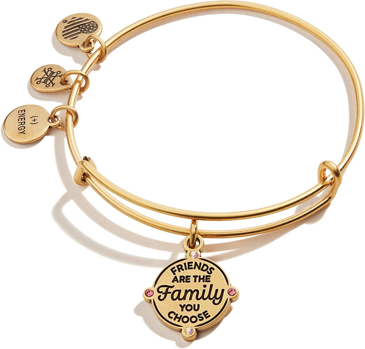 Alex and Ani Connections Expandable Bangle for Women, Friends Are the Family You Choose Charm, Rafaelian Finish, 2 to 3.5 In Apparel & Accessories > Jewelry > Bracelets Alex and Ani Rafaelian Gold Finish  
