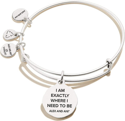 Alex and Ani Path of Life Bracelet Apparel & Accessories > Jewelry > Bracelets Alex and Ani   