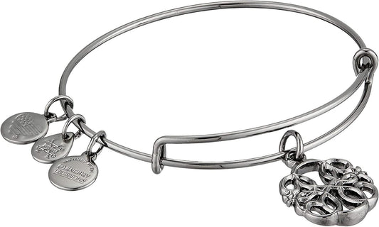 Alex and ANI Path of Life IV Bangle Bracelet Apparel & Accessories > Jewelry > Bracelets Alex and Ani Midnight Silver  