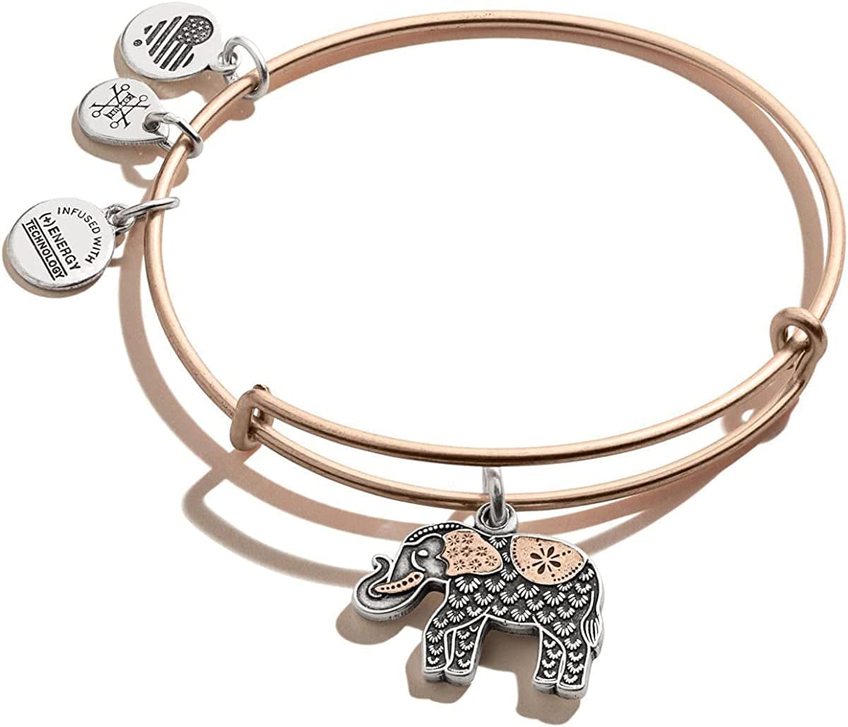 Alex and Ani Path of Symbols Expandable Bangle for Women, Elephant Charm, Two-Tone Finish, 2 to 3.5 In Apparel & Accessories > Jewelry > Bracelets Alex and Ani   