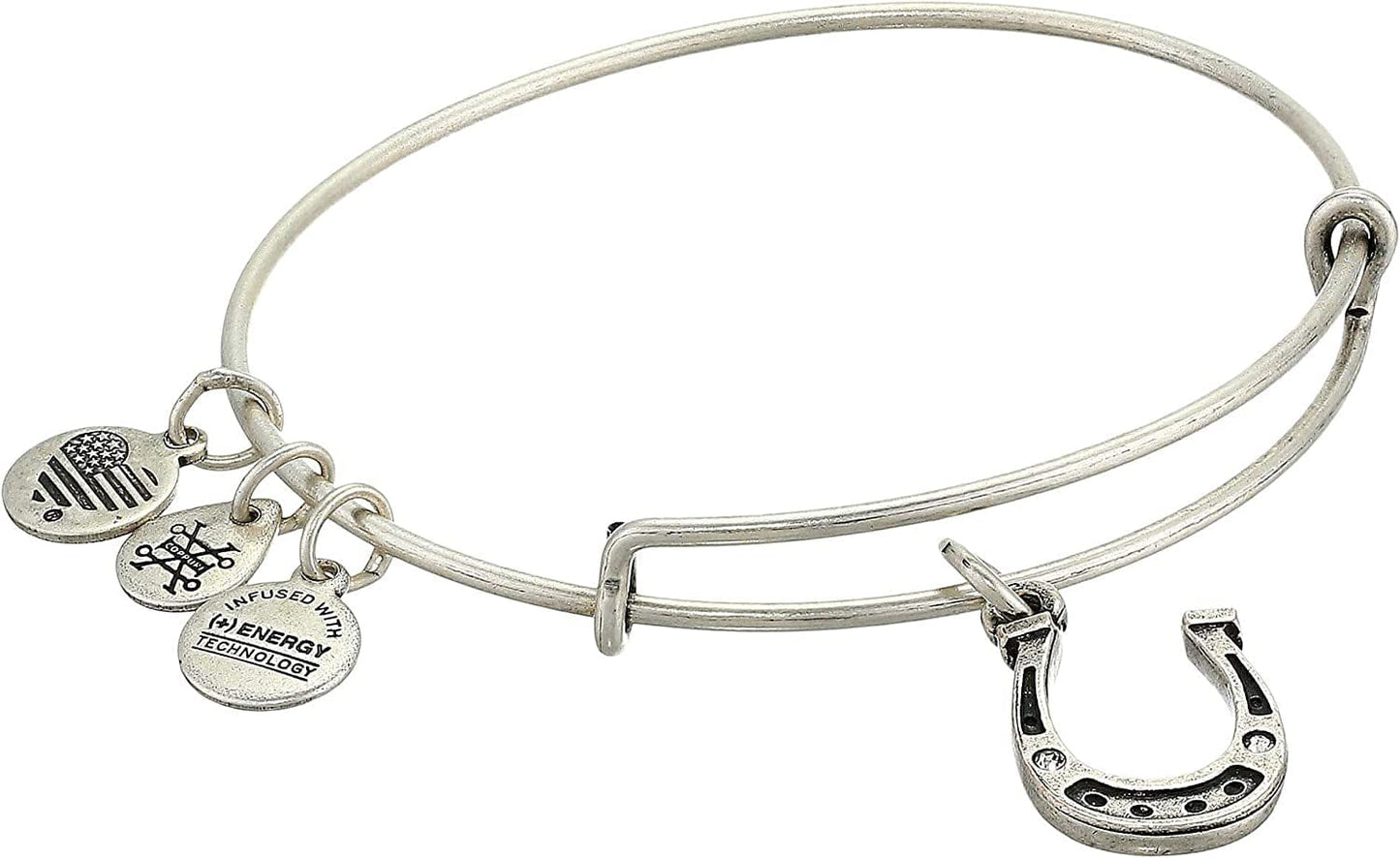 Alex and Ani Tokens Expandable Bangle for Women, Life'S Token Charms, Made in the USA, 2 to 3.5 In Apparel & Accessories > Jewelry > Bracelets Alex and Ani Crystal Horseshoe  