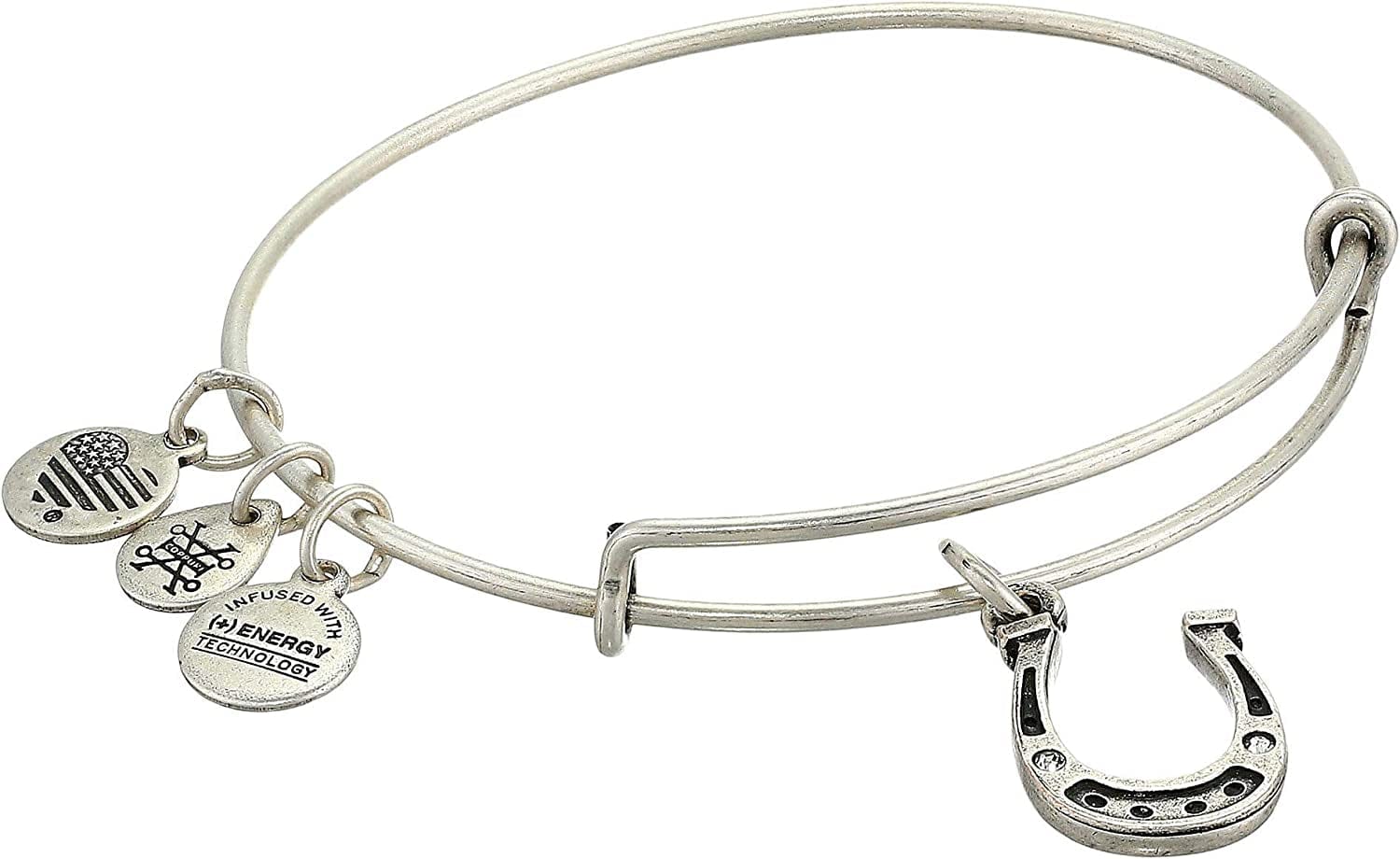 Alex and Ani Tokens Expandable Bangle for Women, Life'S Token Charms, Made in the USA, 2 to 3.5 In Apparel & Accessories > Jewelry > Bracelets Alex and Ani Crystal Horseshoe  