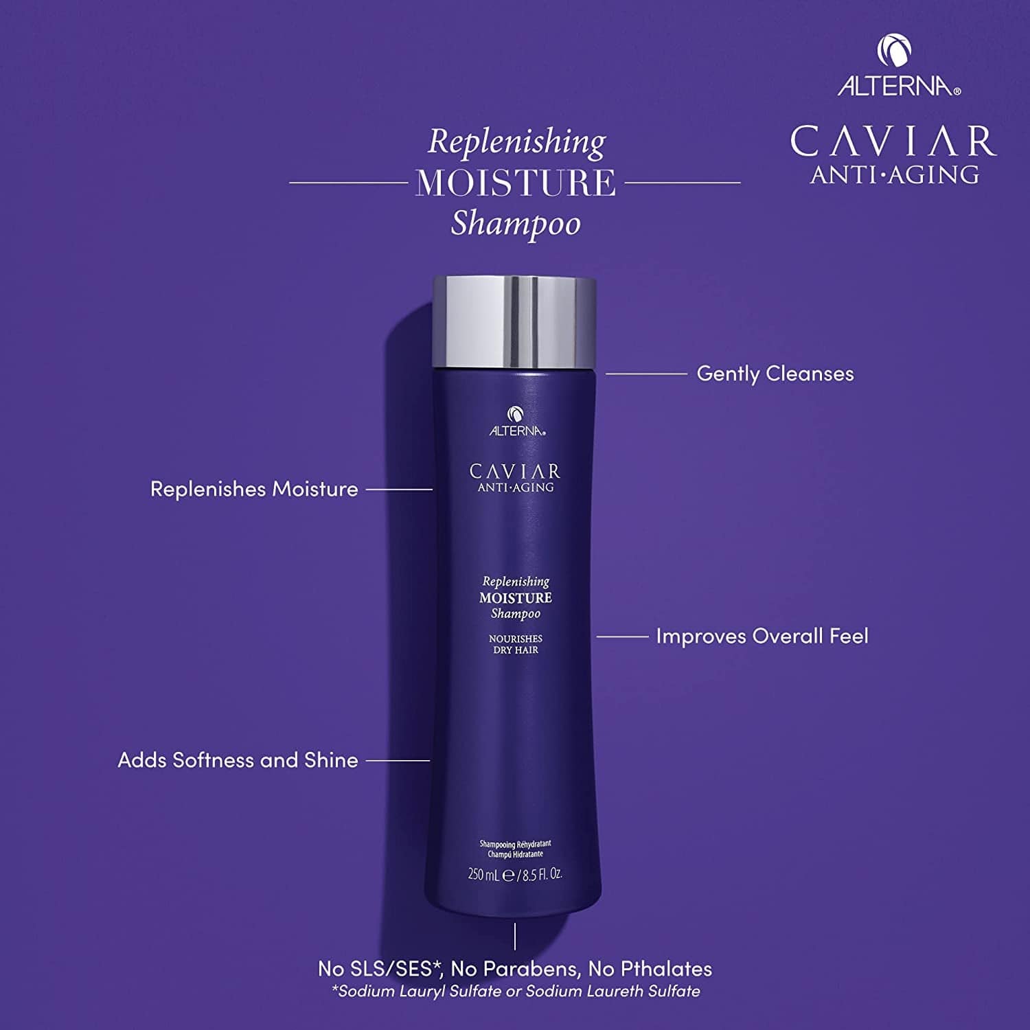 Alterna Caviar Anti-Aging Replenishing Moisture Shampoo | for Dry, Brittle Hair | Protects, Restores & Hydrates | Sulfate Free Health & Beauty > Personal Care > Hair Care Alterna Haircare   