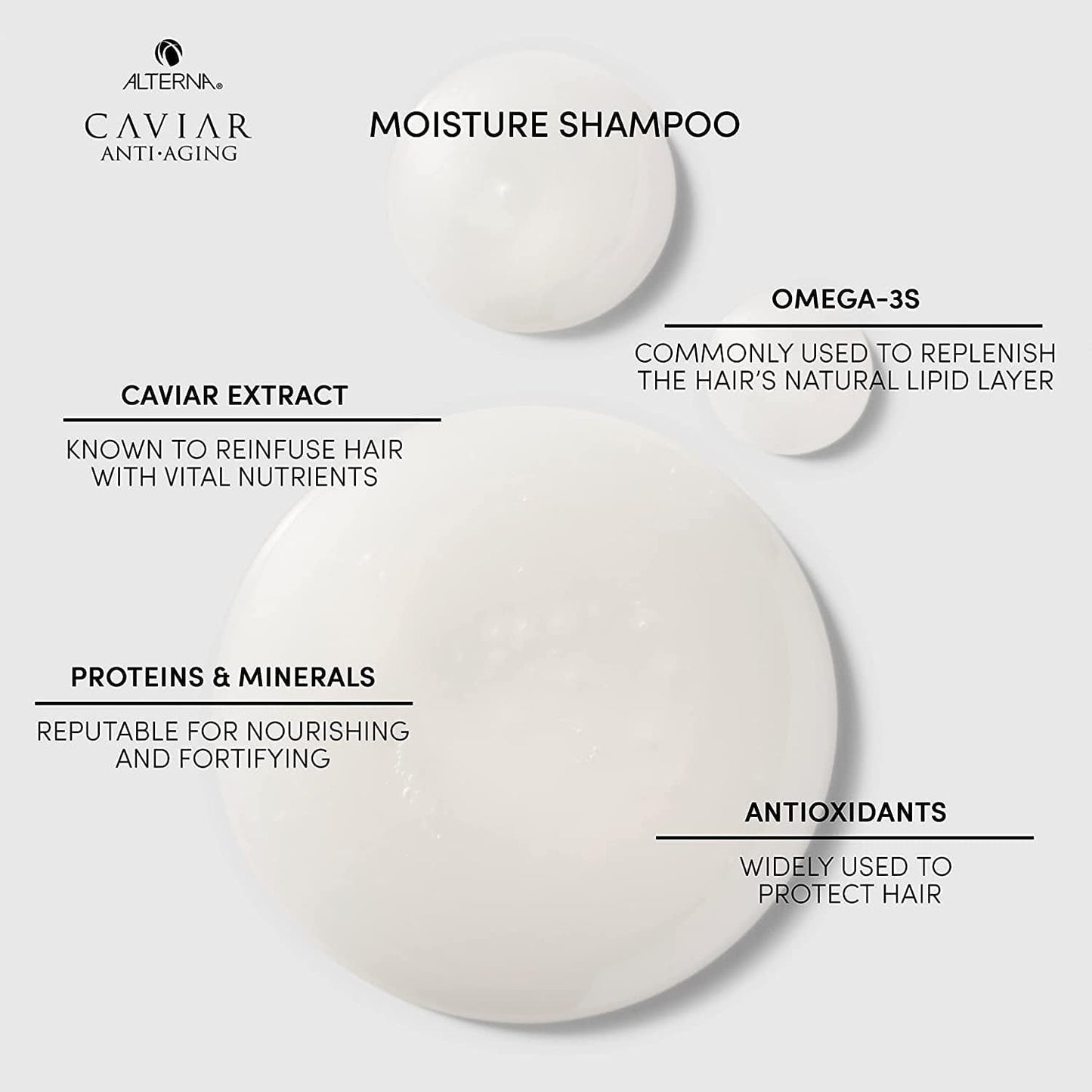 Alterna Caviar Anti-Aging Replenishing Moisture Shampoo | for Dry, Brittle Hair | Protects, Restores & Hydrates | Sulfate Free Health & Beauty > Personal Care > Hair Care Alterna Haircare   