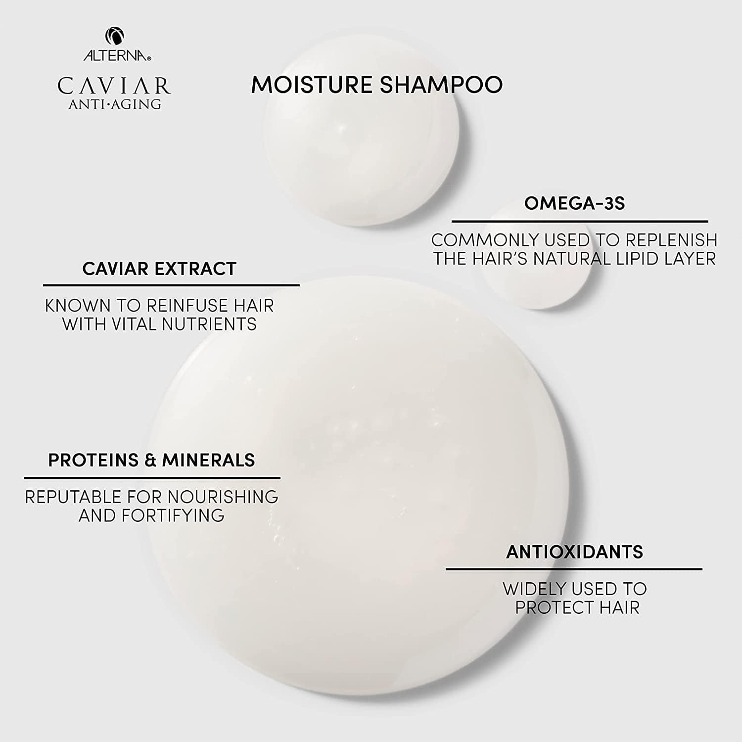 Alterna Caviar Anti-Aging Replenishing Moisture Shampoo | for Dry, Brittle Hair | Protects, Restores & Hydrates | Sulfate Free Health & Beauty > Personal Care > Hair Care Alterna Haircare   