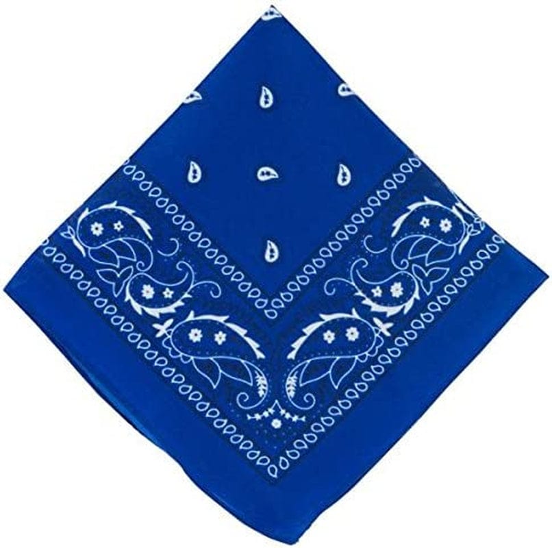 Amscan Womens Paisley Apparel & Accessories > Clothing Accessories > Bandanas & Headties amscan   