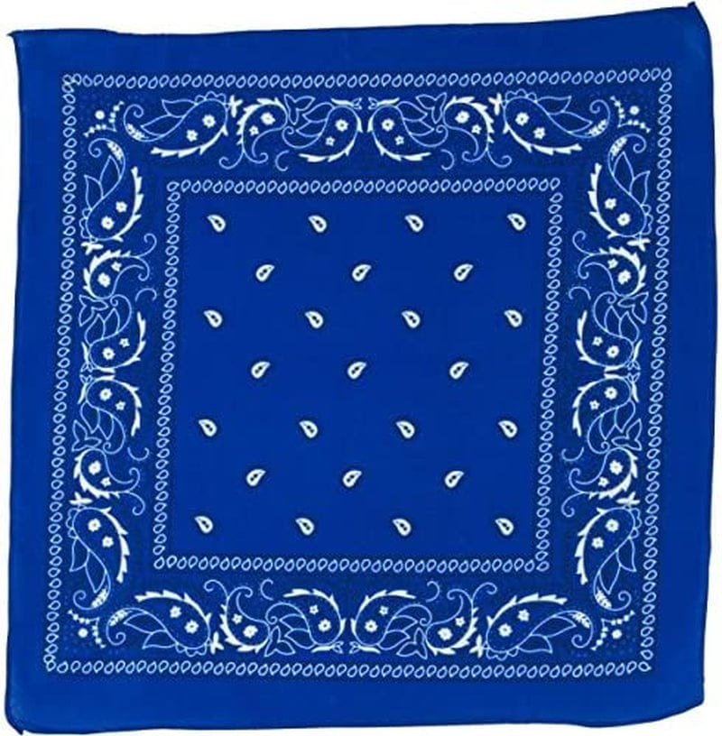 Amscan Womens Paisley Apparel & Accessories > Clothing Accessories > Bandanas & Headties amscan   
