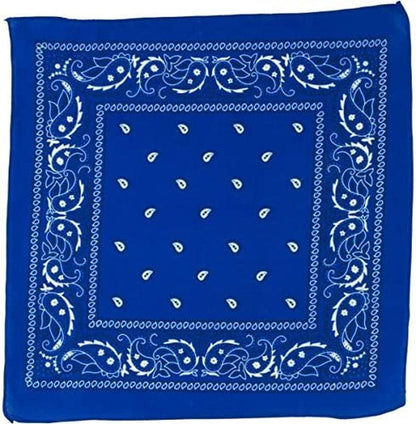Amscan Womens Paisley Apparel & Accessories > Clothing Accessories > Bandanas & Headties amscan   