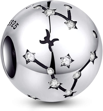 NINGAN 12 Zodiac Sign Birthday Charms - 925 Sterling Silver Charms Fits Women'S Charm Bracelet & Necklace - Birthday Gifts for Girls & Friends Apparel & Accessories > Jewelry > Bracelets NINGAN Pisces (02/19- 03/20)  