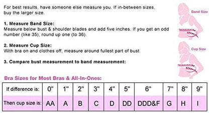 Bali Double Support Wireless Bra, Lace Bra with Stay-In-Place Straps, Full-Coverage Wirefree Bra, Tagless for Everyday Wear