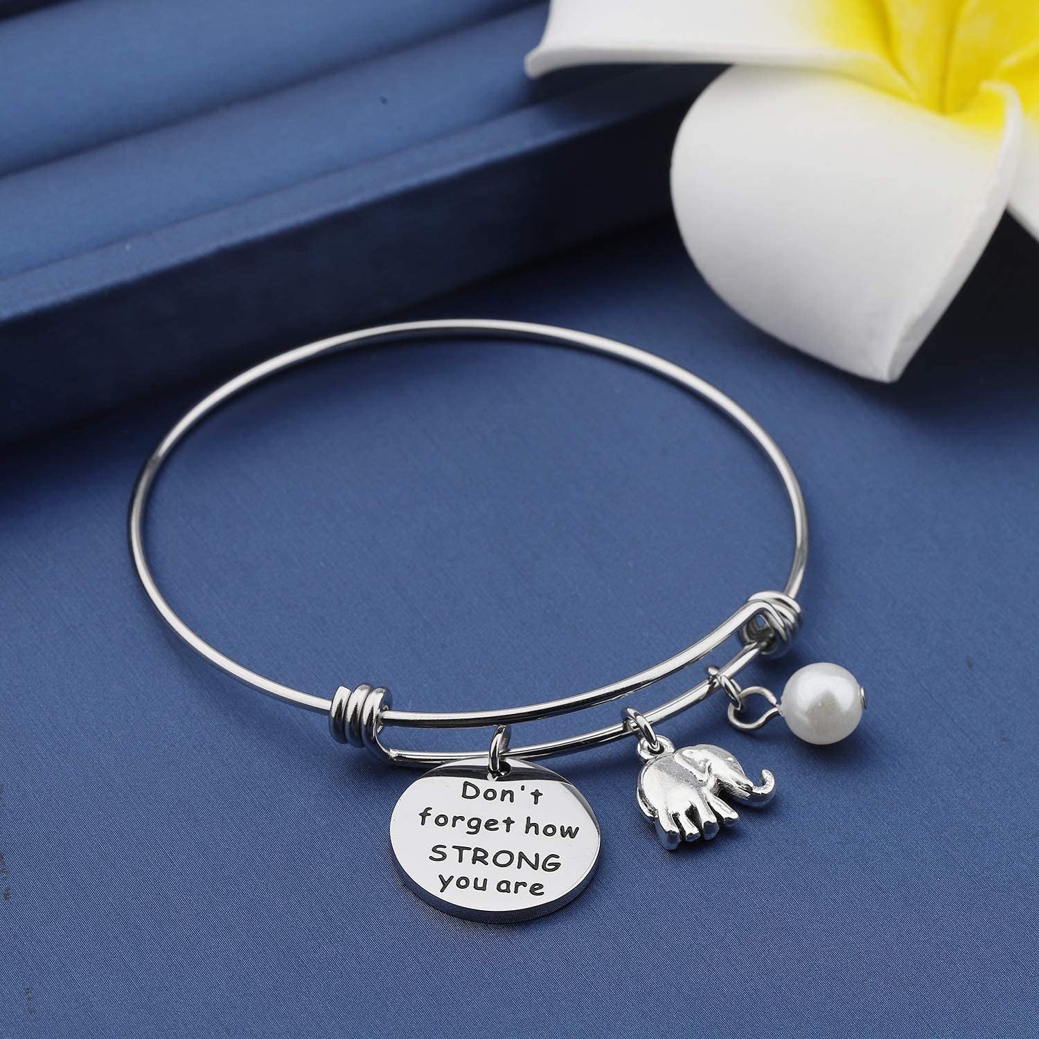 MYOSPARK Elephant Keychain Don'T Forget How Strong You Are Inspirational Gift for Graduate Elephant Lovers Apparel & Accessories > Jewelry > Necklaces MYOSPARK   